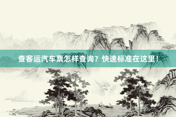 查客运汽车票怎样查询？快速标准在这里！