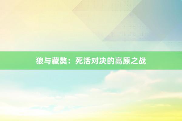 狼与藏獒：死活对决的高原之战