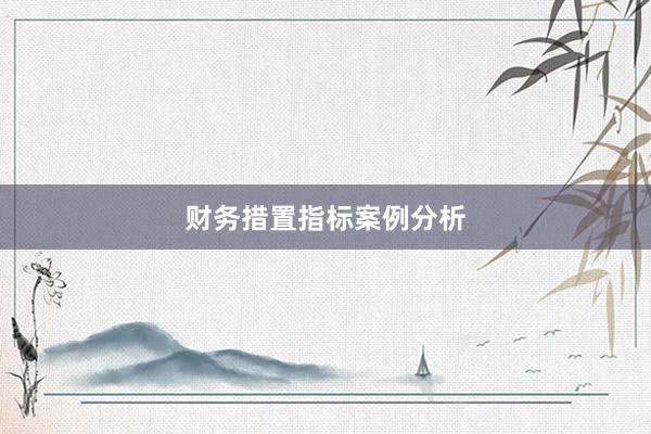 财务措置指标案例分析